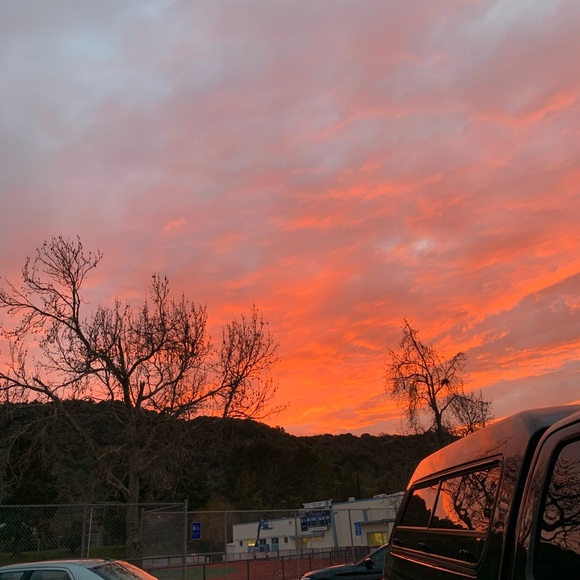 Meet your Posher, Leo - Picture 1 of 1